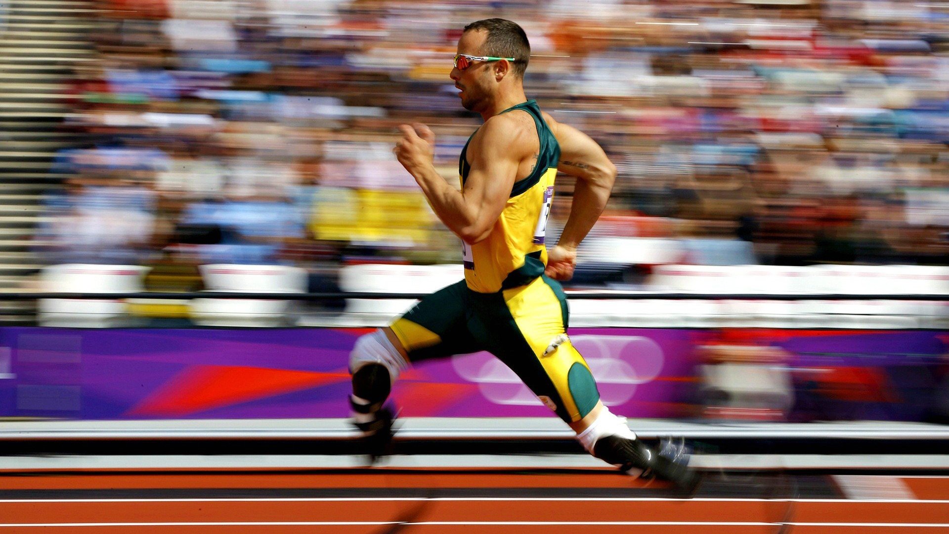 体育新闻中心开展体育内容版权保护法律培训，体育法律知识普及宣传