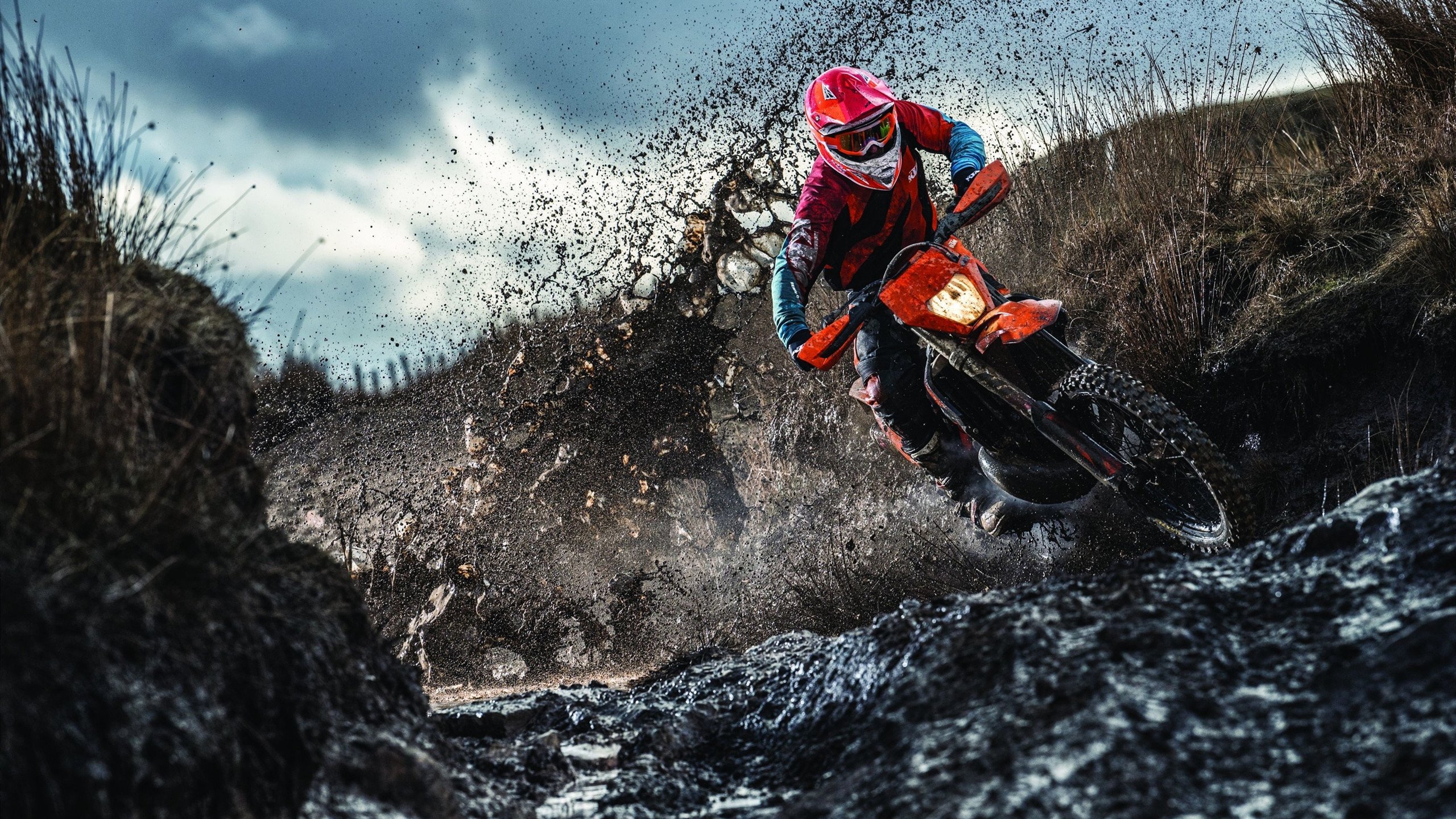 北京鸭侧翼球员提升命中率打破得分僵局，北京鸭的羽毛