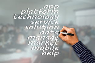 JIUYOU GAMING-瑞典队未来：如何建立更具竞争力的国际品牌，瑞典队分析