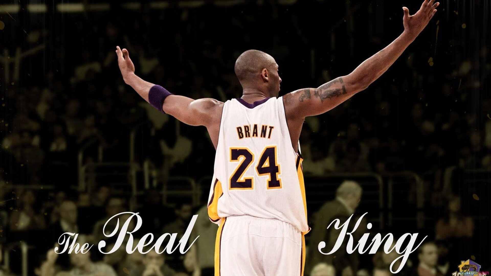 夺冠之路:冠军的成长历程纪录片,回顾夺冠